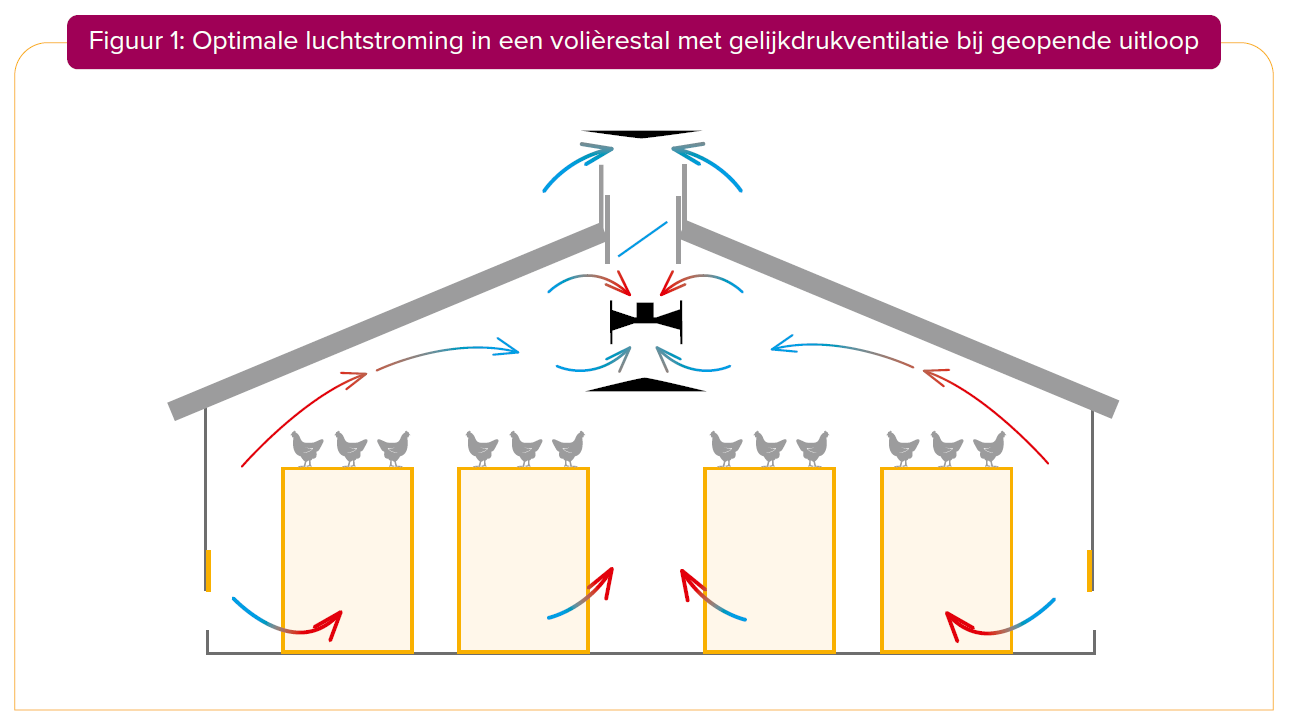 Figuur 1_Optimale luchtstroming in een volierestal met gelijkdrukventilatie bij geopende uitloop