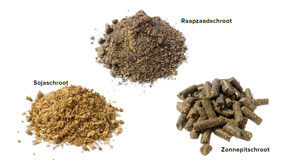 Sojaschroot - Raapzaadschroot - Zonnepitschroot