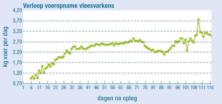 Voeropname vleesvarkens