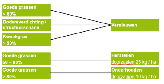 Verdroogde grasmat? Tips om je grasland te beoordelen