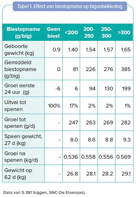 Effect van biestopname op bigontwikkeling