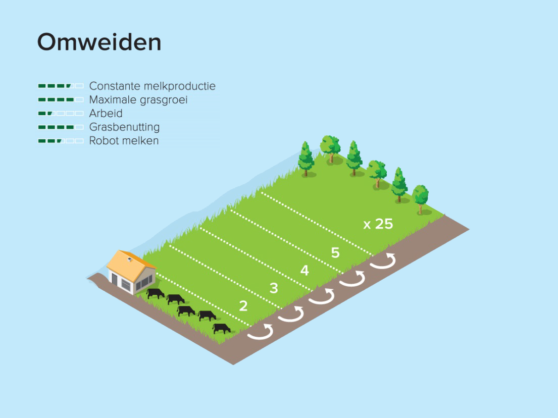 Weidesystemen - omweiden